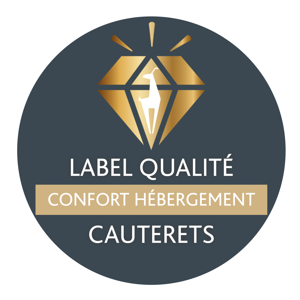 logo label qualite gris