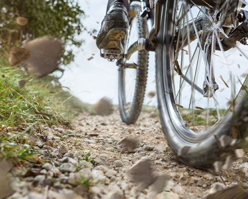 Le Vélo dans toute sa splendeur