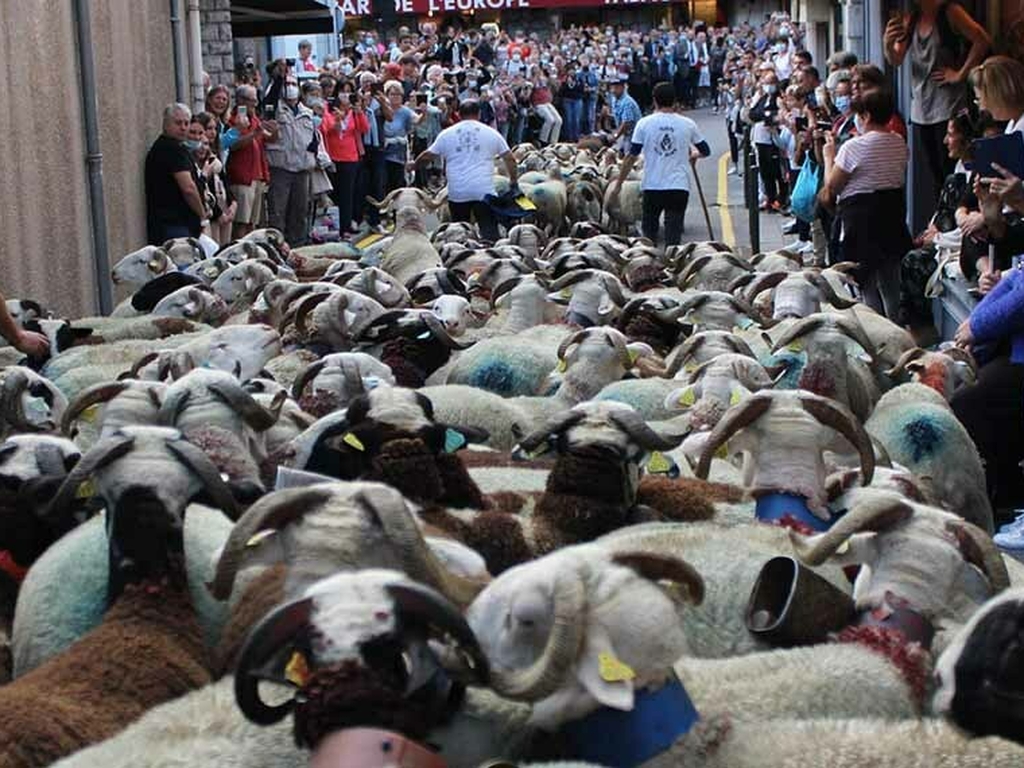 Chalet La Source Cauterets Foire Luz Transhumance