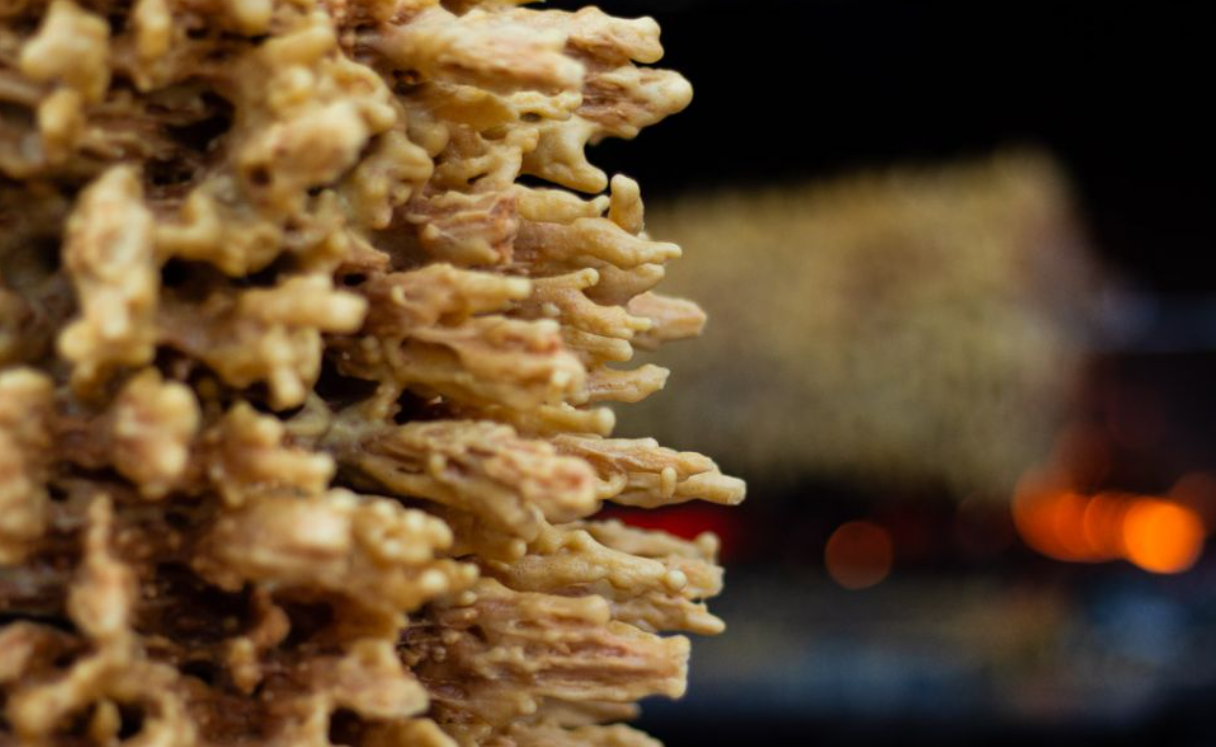 Les piques du gâteau à la broche