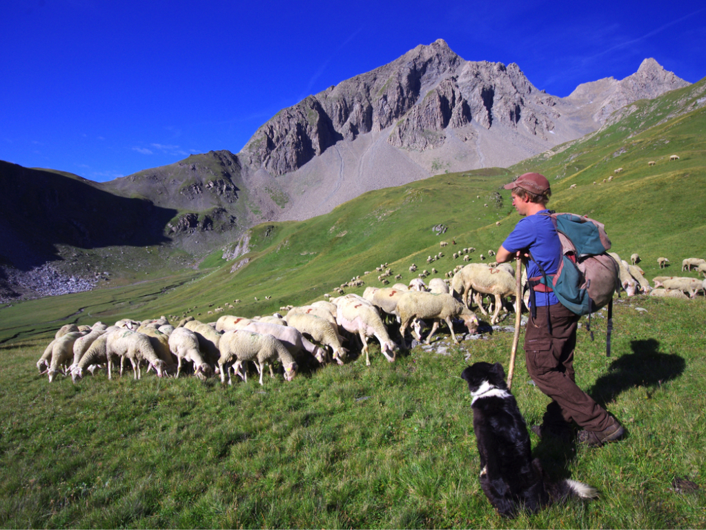 Chalet La Source Cauterets Berger
