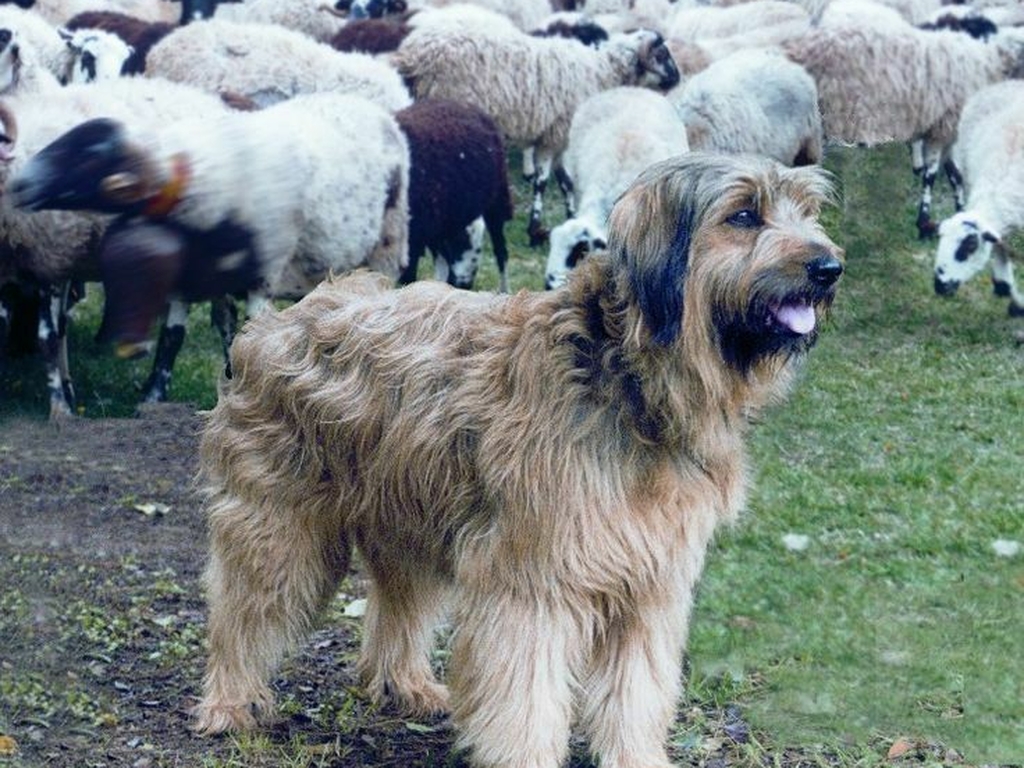 Chalet La Source Cauterets Gos dAtura