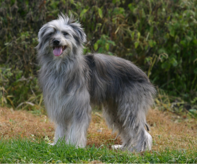Chalet La Source Cauterets Labrit