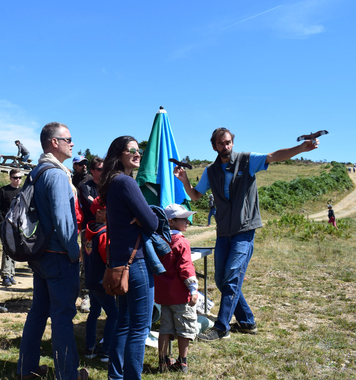Chalet La Source Cauterets Explications Rapaces