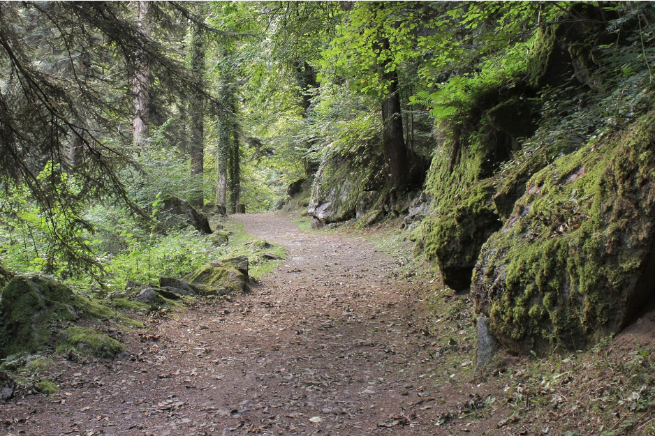 Chalet La Source Cauterets Sentier Demontzey