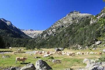 Marcadau Valley Summer