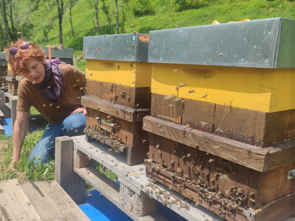 Chalet La Source Cauterets Ballot Flurin apiary