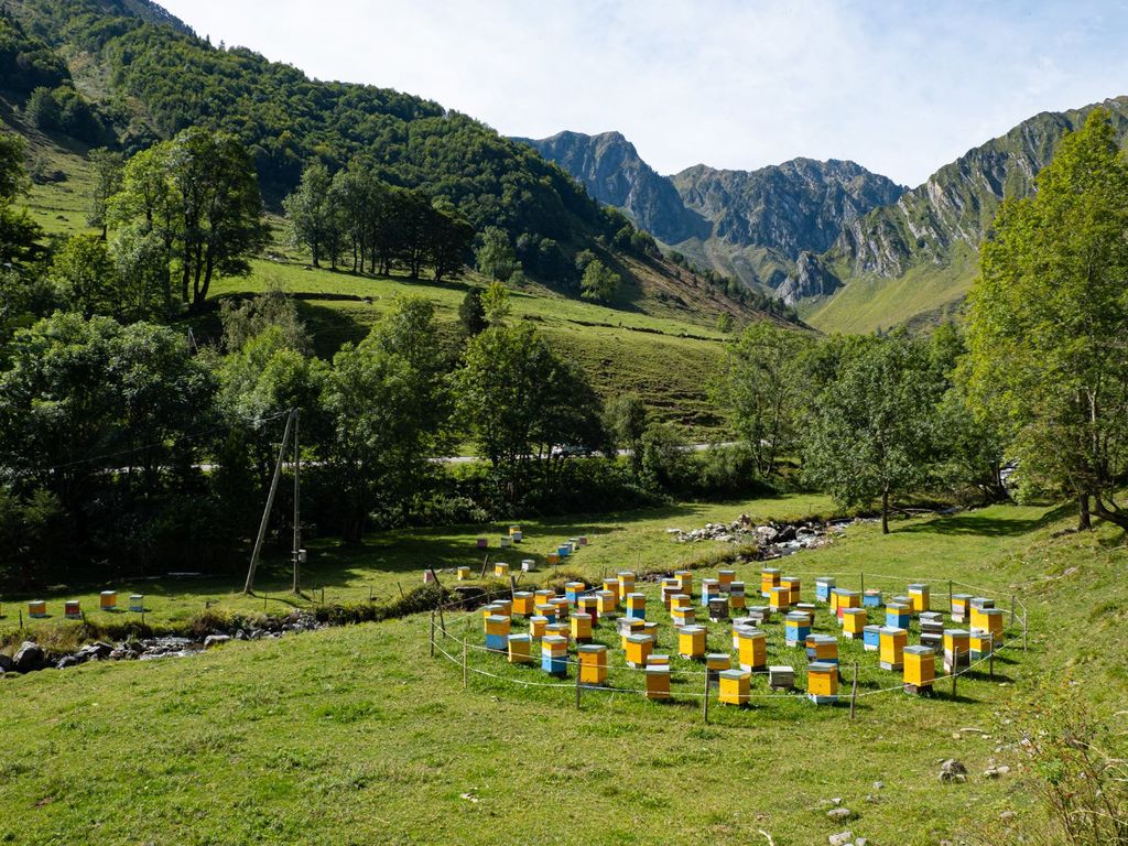 Chalet La Source Cauterets Ballot Flurin apiary densemble