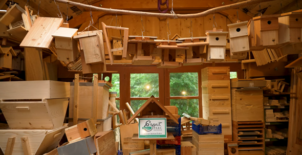 Atelier Faites pour Ailes